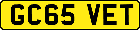 GC65VET