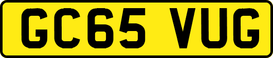 GC65VUG