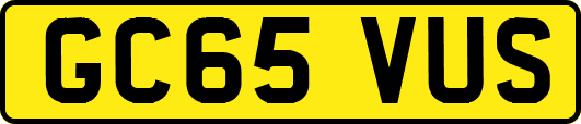 GC65VUS