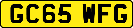 GC65WFG