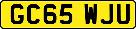 GC65WJU