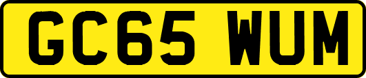 GC65WUM
