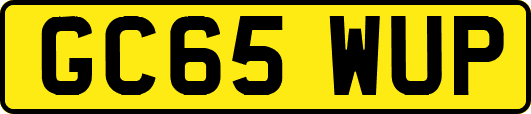 GC65WUP