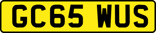 GC65WUS
