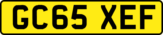 GC65XEF