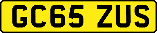 GC65ZUS