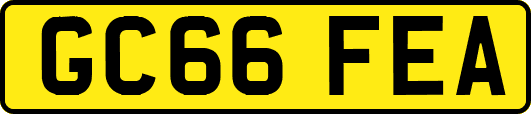 GC66FEA