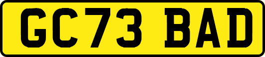 GC73BAD