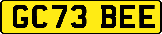 GC73BEE