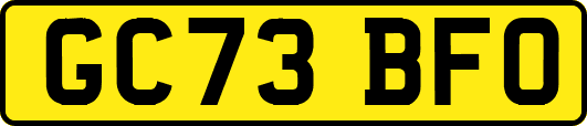 GC73BFO