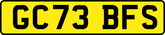 GC73BFS