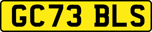 GC73BLS