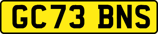 GC73BNS