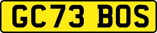 GC73BOS