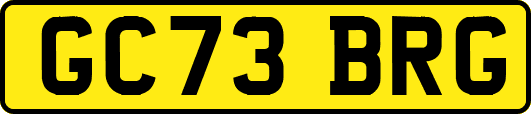 GC73BRG