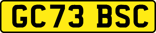 GC73BSC