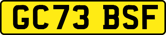 GC73BSF