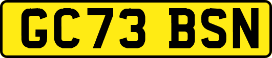 GC73BSN