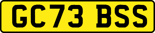 GC73BSS