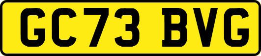 GC73BVG