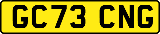 GC73CNG