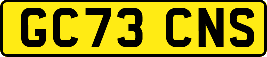 GC73CNS