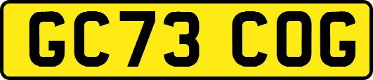 GC73COG