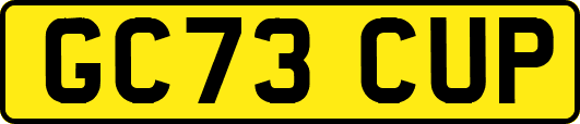 GC73CUP
