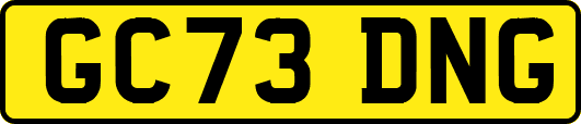 GC73DNG