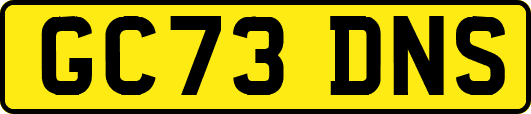 GC73DNS