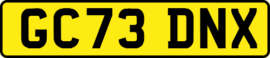 GC73DNX
