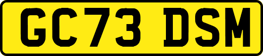 GC73DSM