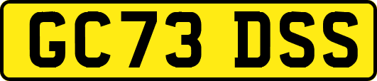 GC73DSS