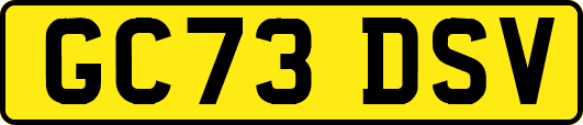 GC73DSV