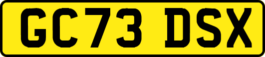 GC73DSX