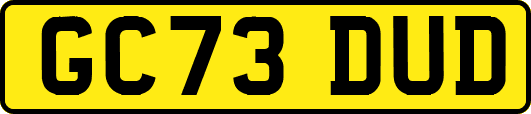GC73DUD