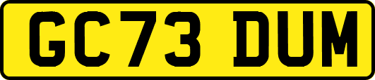 GC73DUM