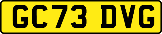 GC73DVG