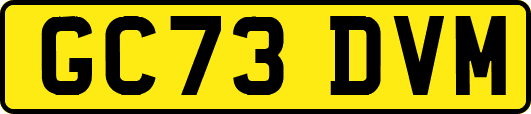 GC73DVM