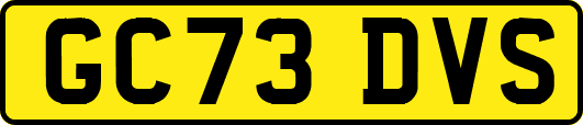 GC73DVS
