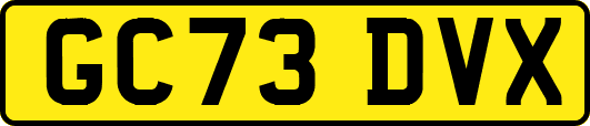 GC73DVX
