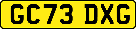 GC73DXG