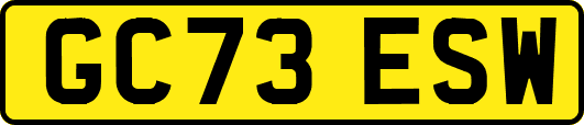 GC73ESW