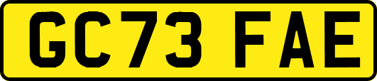 GC73FAE