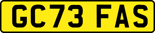 GC73FAS