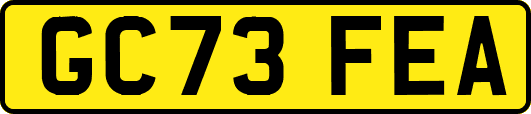 GC73FEA