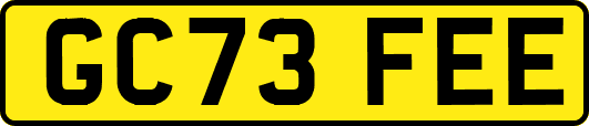GC73FEE