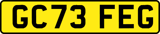 GC73FEG