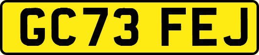 GC73FEJ