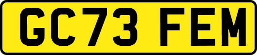 GC73FEM